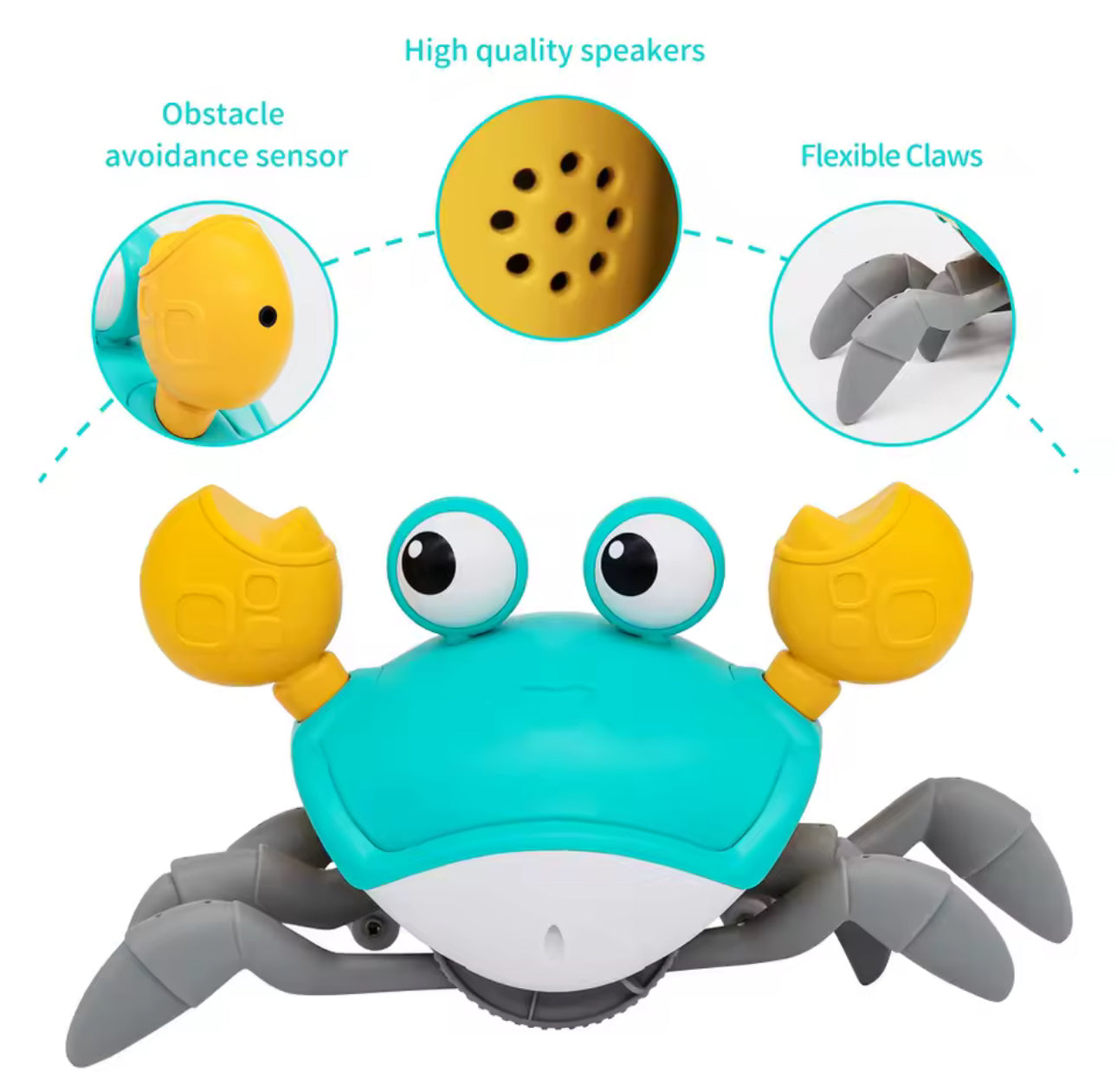 Crab Racer – Interactive Baby Crawling Toy