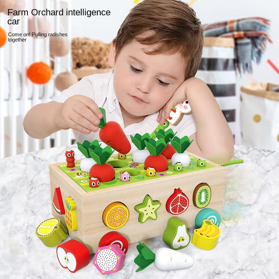 Baby Pull-Out Radish Toy – Montessori Harvest & Sorting Game
